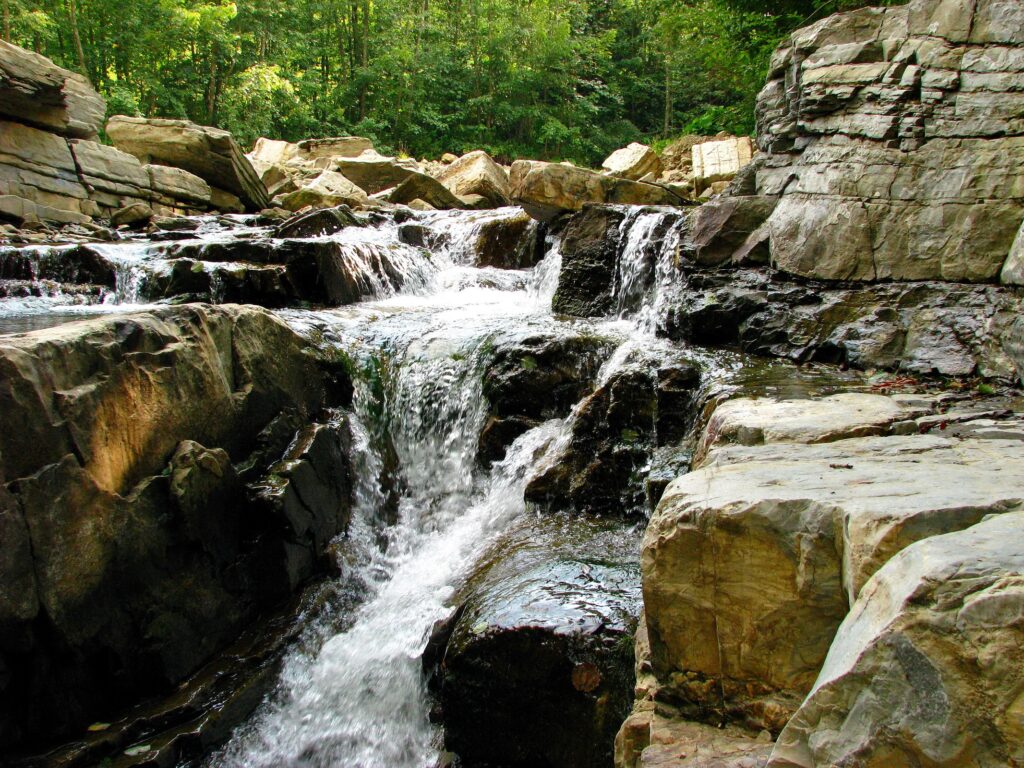 Rushing stream over smooth rocks in dense lush Carpathian Mountains woodland Ukraine wallpaper.