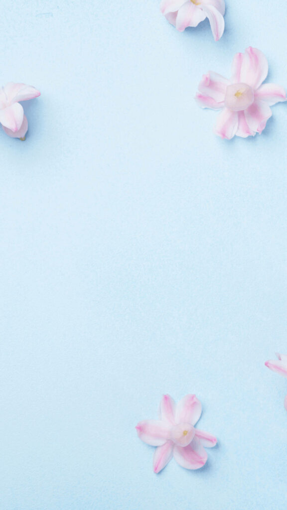 Pink and White Flowers on Blue Pastel Background Wallpaper