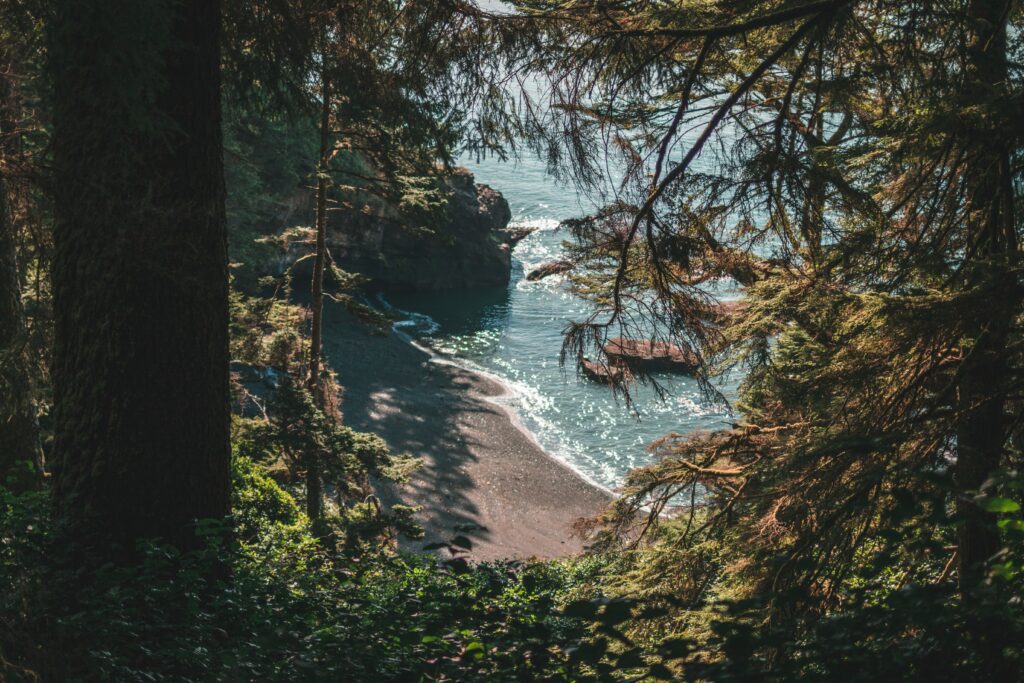 Tranquil coastal beach wallpaper with lush trees rugged rocks and soft sunlight filtering through