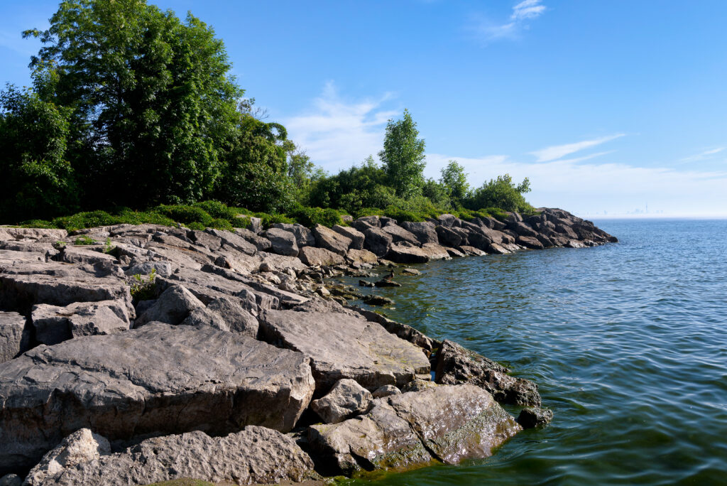 Tranquil coastal landscape with rugged stones lush green trees and calm sea under blue sky background Wallpaper