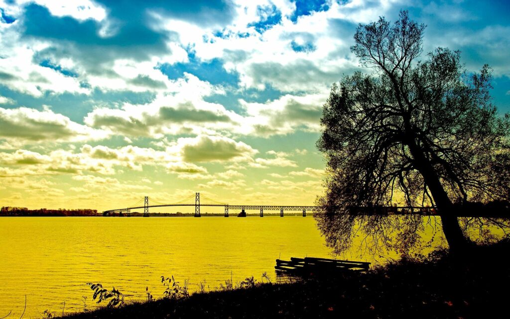 Tranquil coastal morning wallpaper with dramatic clouds silhouetted tree and distant bridge