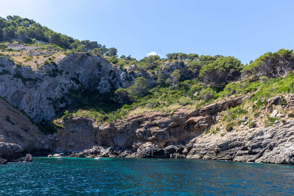 Rugged coastal rocks and lush green trees along vivid blue sea under clear sunny sky wallpaper