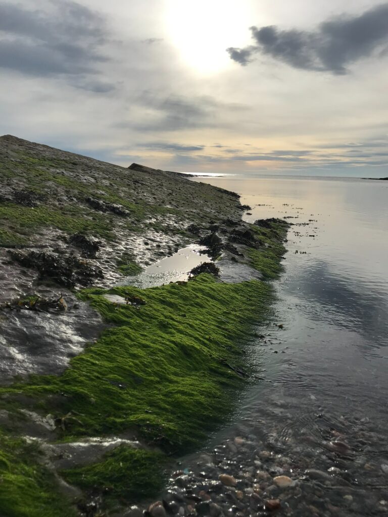 Serene coastal wallpaper with green mossy shore smooth stones calm water and soft cloud sky
