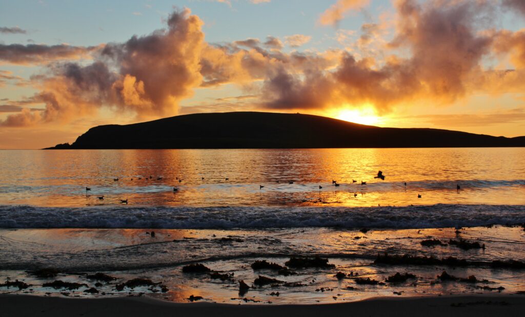 Sunset over calm sea waves on sandy shore with seaweed and hill silhouette at evening light Wallpaper