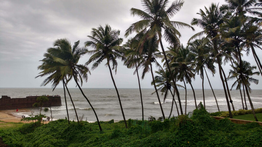 “Serene Coastal Wallpaper: Palm Trees & Moody Tropical Sky”