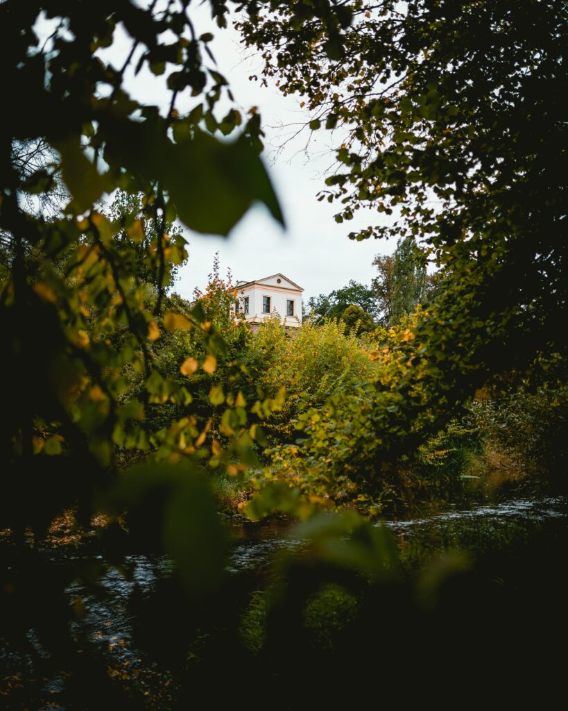 Charming house nestled among green bushes and mature trees above a peaceful forest stream Wallpaper
