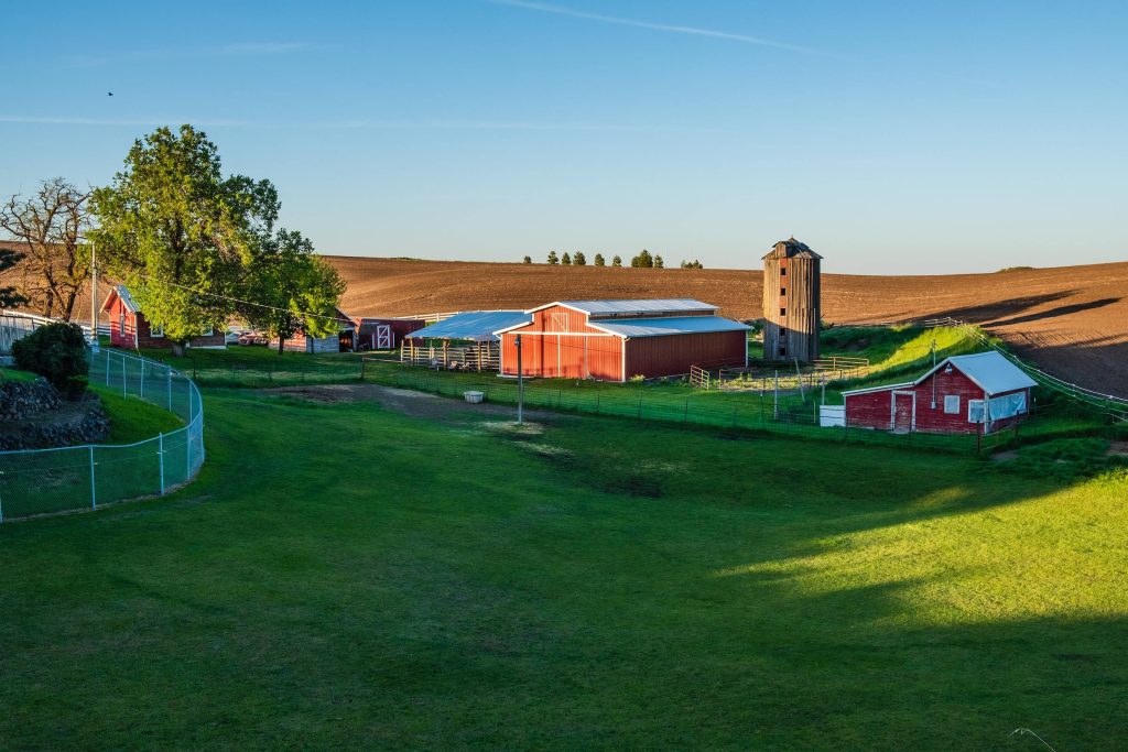 Tranquil countryside farm with red barns green pastures wooden silo and golden hour light Wallpaper
