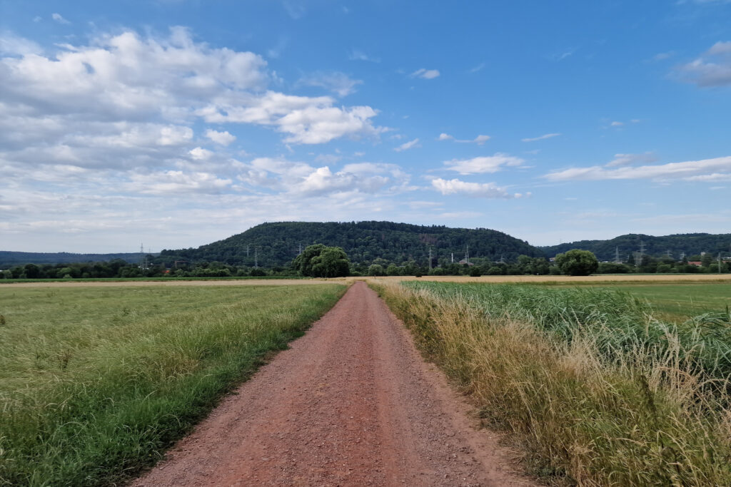 Rustic dirt path through lush green fields to tree-covered hill under bright blue sky wallpaper