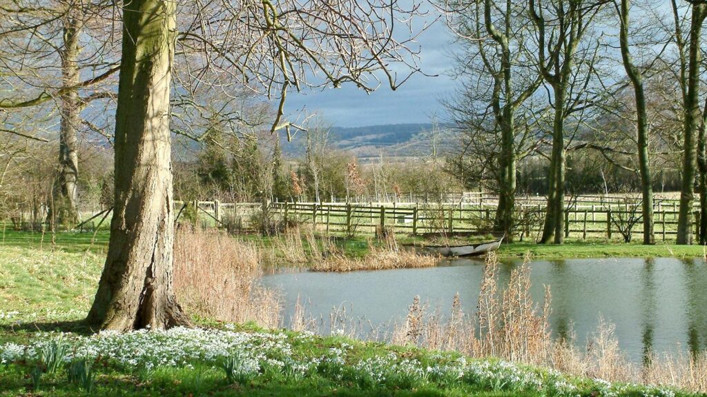 Serene countryside pond with tall grass rustic wooden fence sunlit field and gentle river background Wallpaper