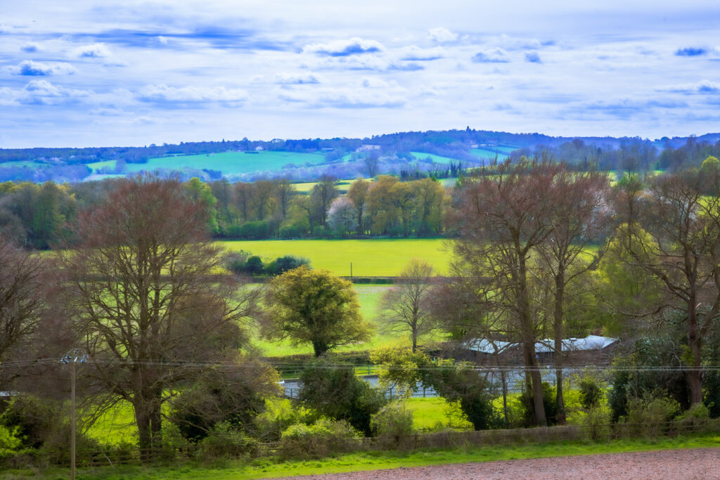 Vibrant countryside wallpaper with lush green meadows tall trees and a winding river under sunlight