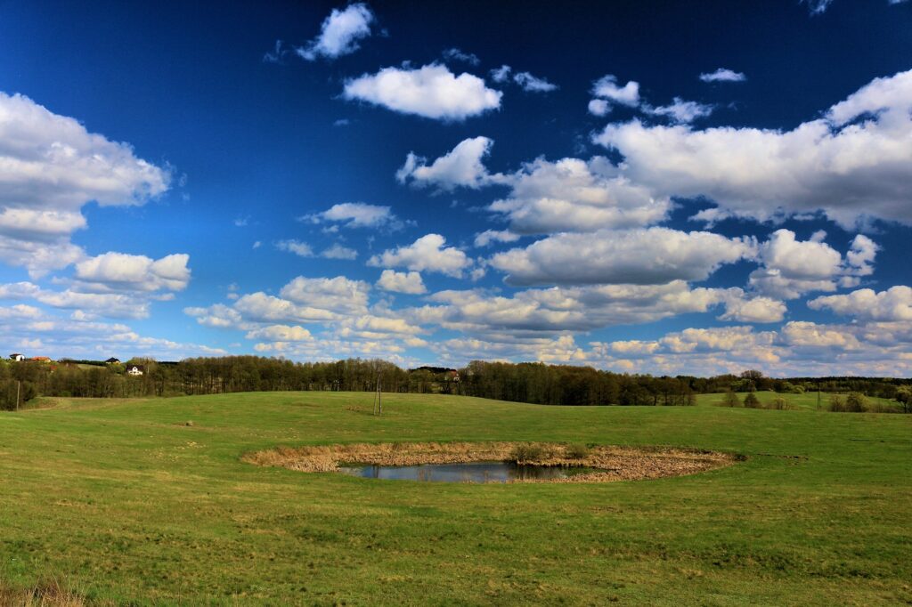 Serene countryside wallpaper with green grass blue sky white clouds pond and distant trees background