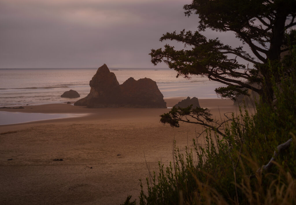 Tranquil beach at dusk with gentle waves sea rocks and windswept trees in calming natural tones Wallpaper