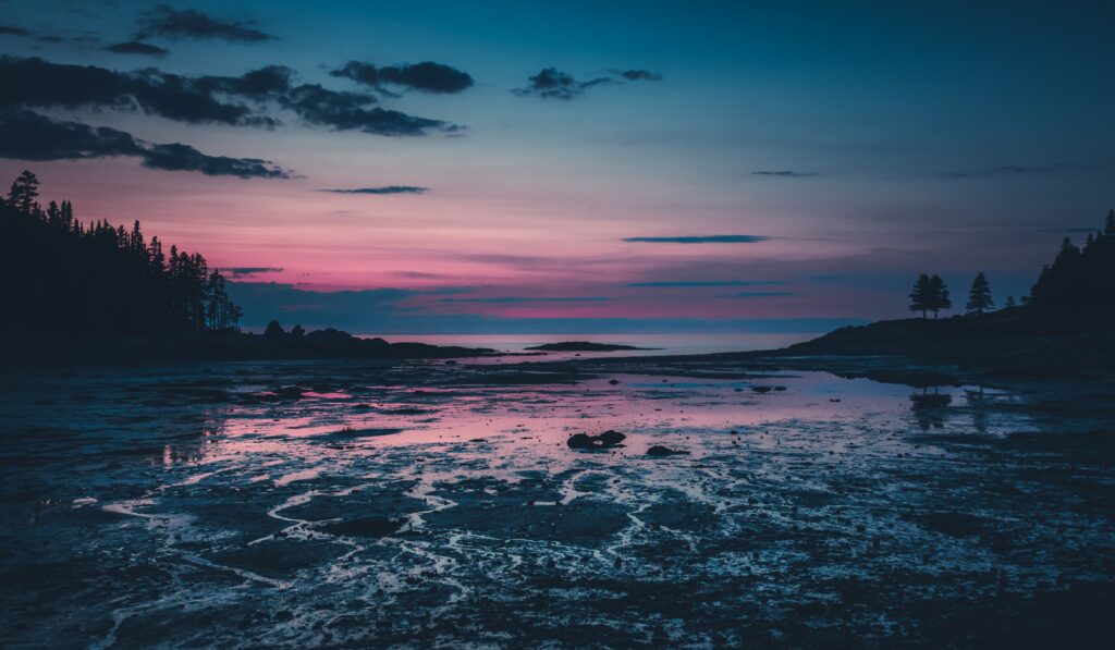 Tranquil dusk lake scene with tree silhouettes reflecting colorful pink and blue sky wallpaper