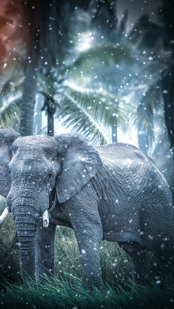 Tranquil Jungle Elephant Wallpaper with Gentle Snowfall Background