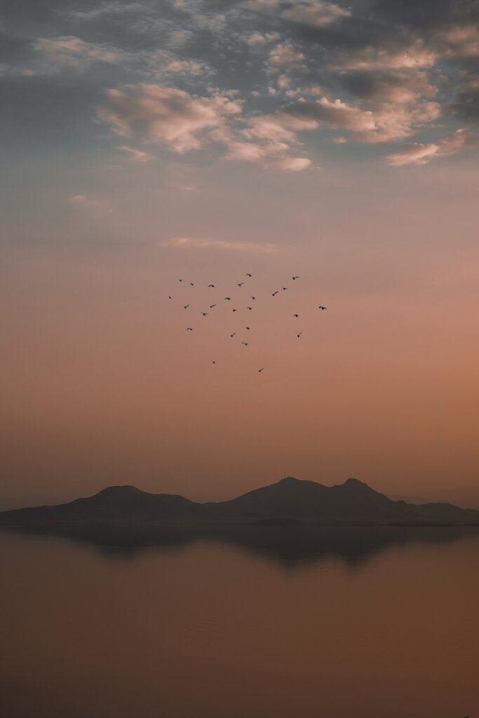 Flock of birds flying over misty mountains at sunset with warm dusky sky and soft clouds Wallpaper