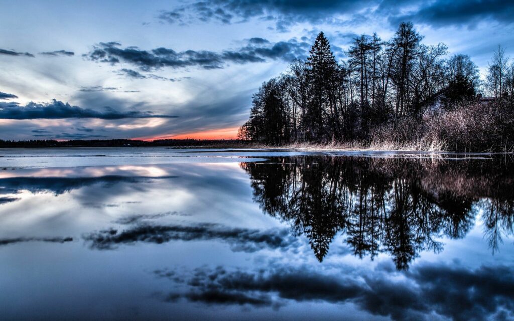 Tranquil evening lake with silhouetted tall trees reflecting vibrant blue and orange sunset sky Wallpaper