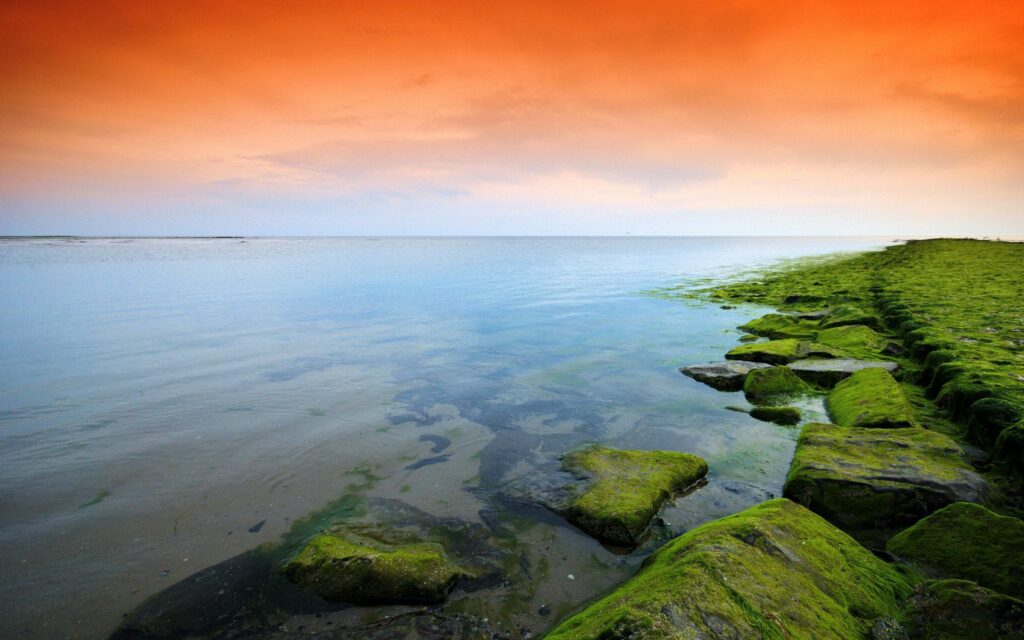 Tranquil lakeside evening with vivid orange sky reflection and lush mossy shore rocks wallpaper