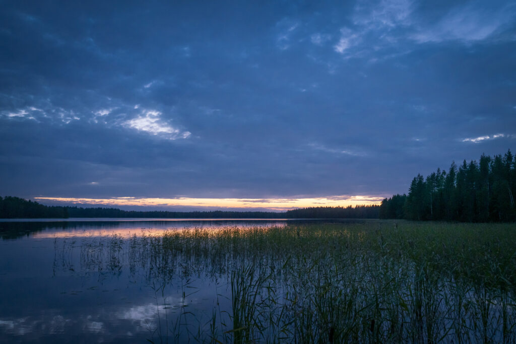 Tranquil evening pond with tall grass reflecting orange and blue dusk sky peaceful wallpaper