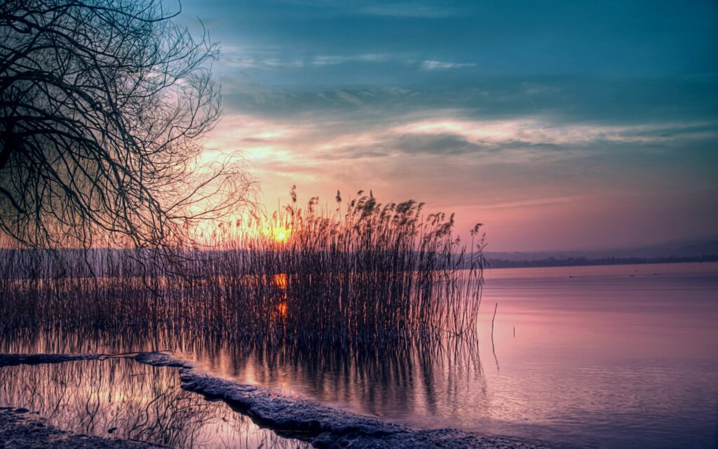 Serene reservoir evening with reeds calm water vibrant sunset willow tree coastal landscape wallpaper