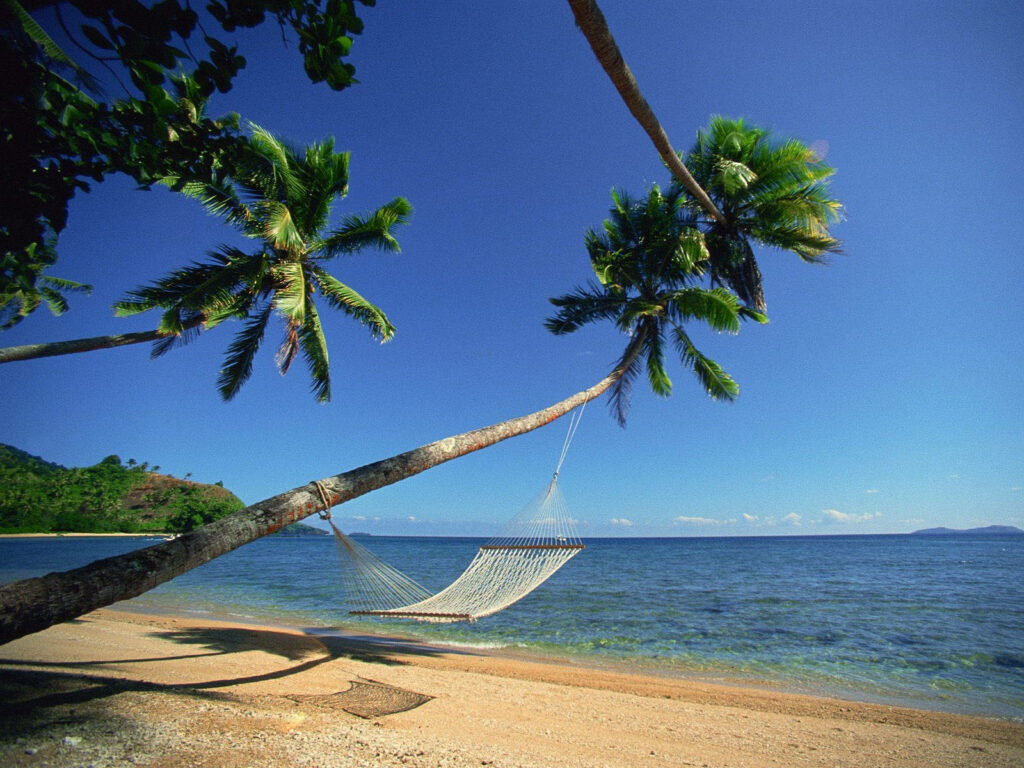 Woven hammock tied between palm trees on Fiji beach overlooking calm blue ocean waters Wallpaper
