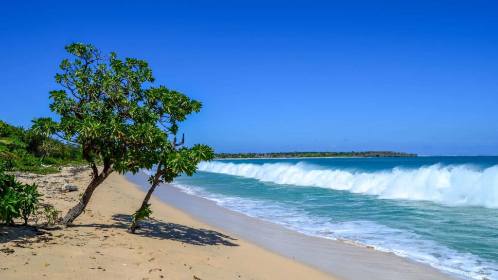Serene Fiji Beach Wallpaper: Clear Waters & Lush Green Paradise