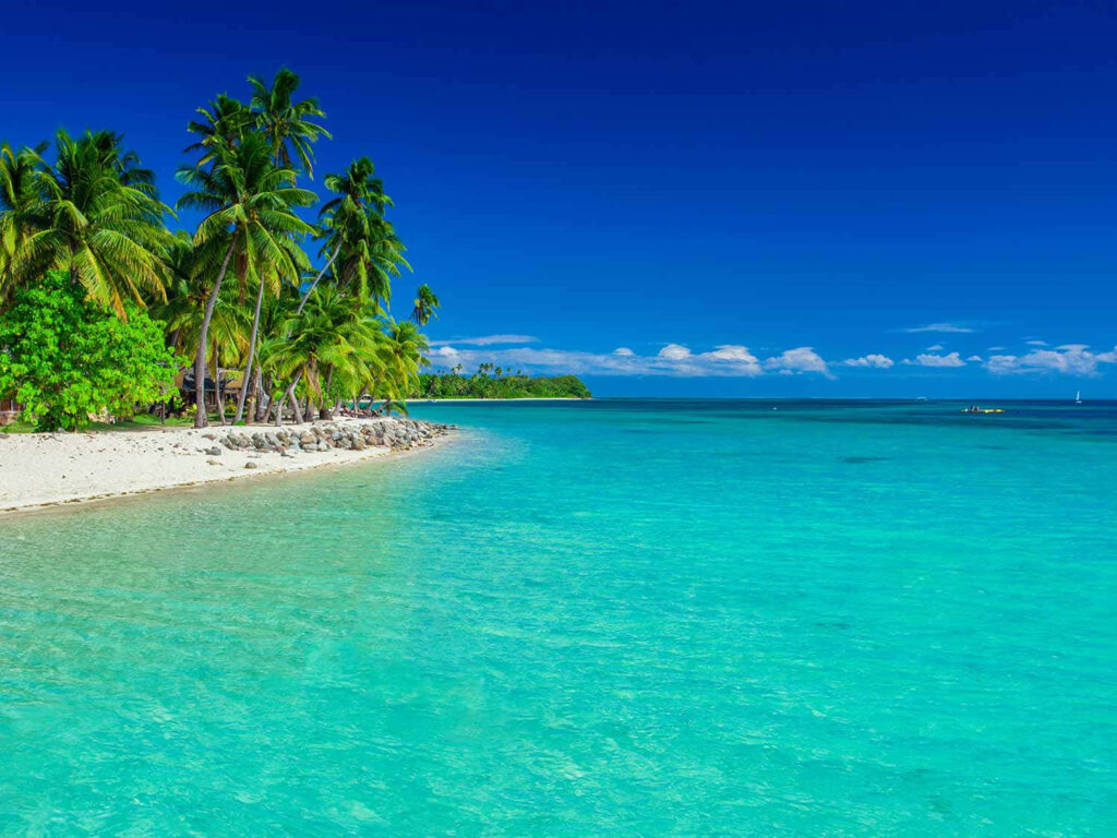 Tranquil Fiji Beach Wallpaper: Turquoise Waters & Lush Palms