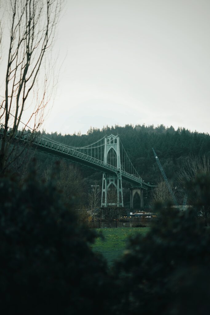 Stately bridge over calm river with lush green forest under soft overcast sky wallpaper