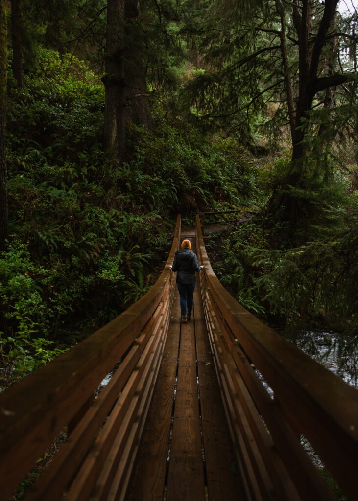 Person walking on wooden bridge through dense green forest with towering trees and foliage Wallpaper