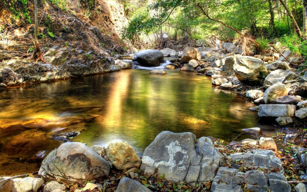 Tranquil forest creek wallpaper with smooth stones lush greenery and sunlight reflections