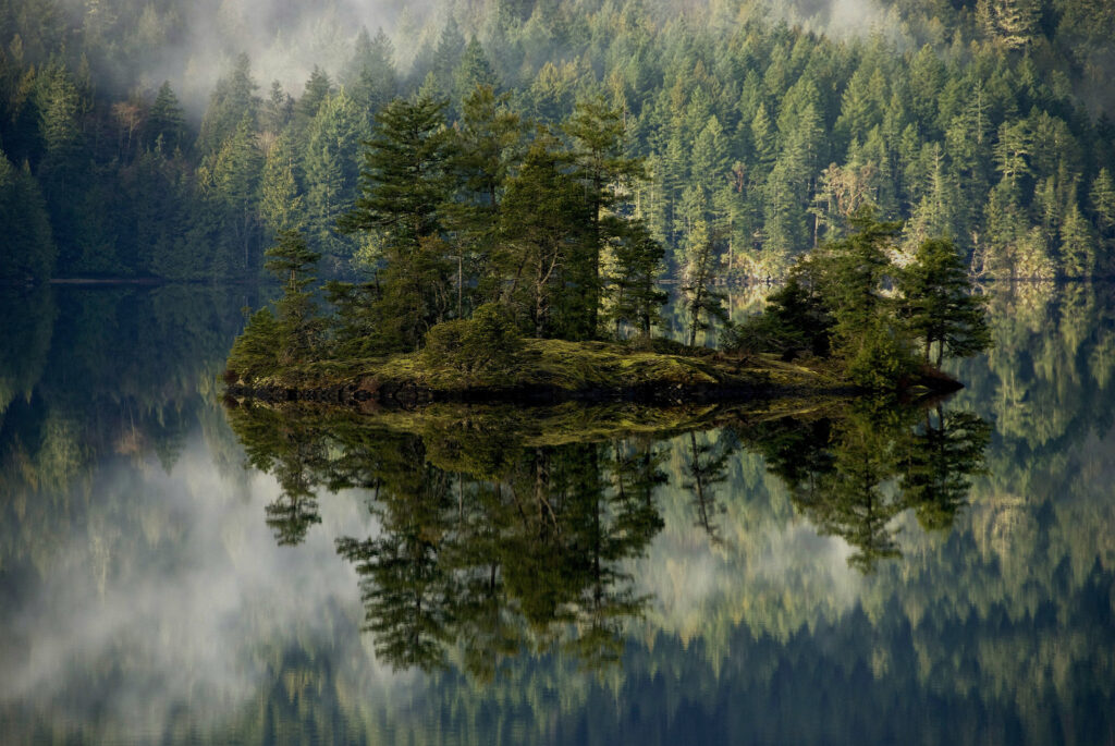 Tranquil forest island on a still lake with mist and pine trees reflecting vibrant greenery Wallpaper