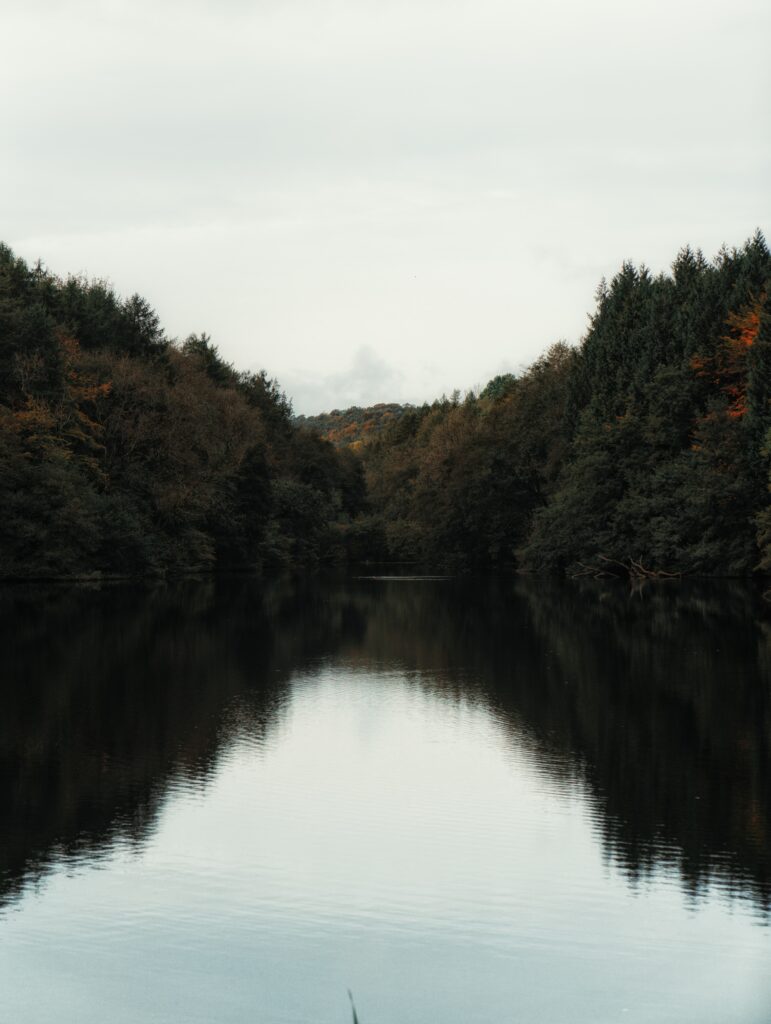 Serene lake with dense tree reflections under overcast sky peaceful natural landscape wallpaper