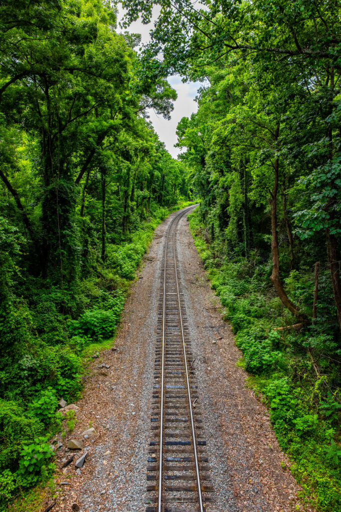 Tranquil railroad tracks through lush green forest with tall trees and dense foliage background Wallpaper