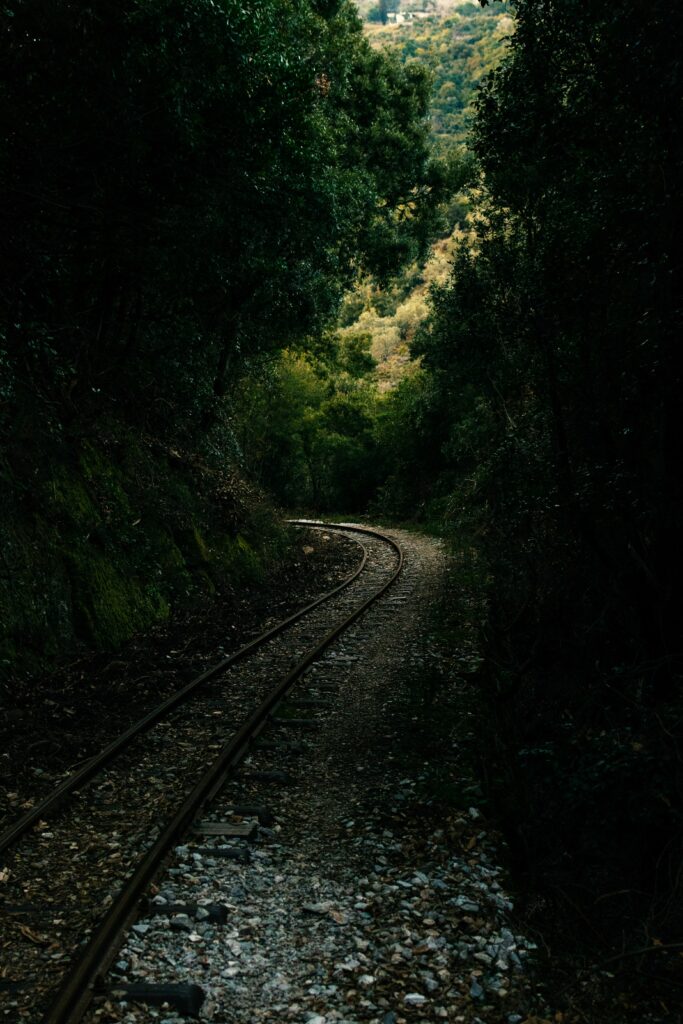 Narrow railway winding through dense green forest with dappled light and serene natural beauty Wallpaper