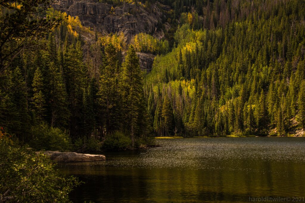 Tranquil forest with tall green trees reflected in calm lake against sunlit lush mountainside Wallpaper