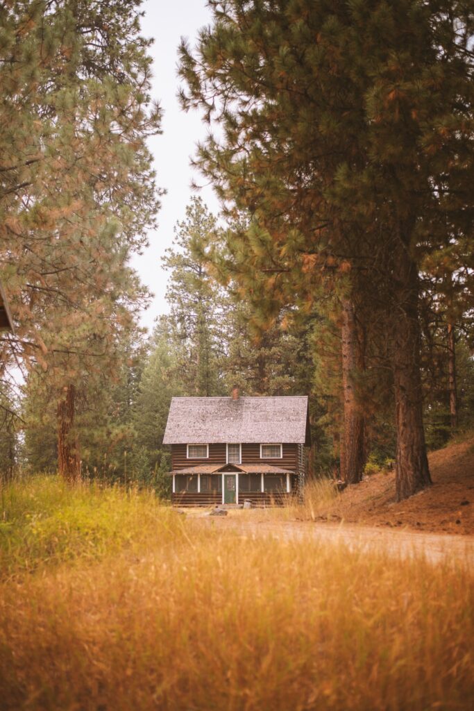 Charming forest house at path end surrounded by towering trees and golden grass in soft light Wallpaper