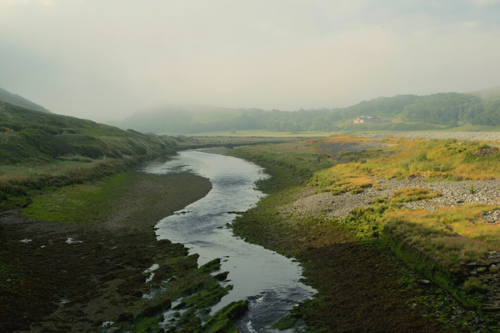 Tranquil river winding through lush green forest with gentle morning fog and natural grass landscape Wallpaper
