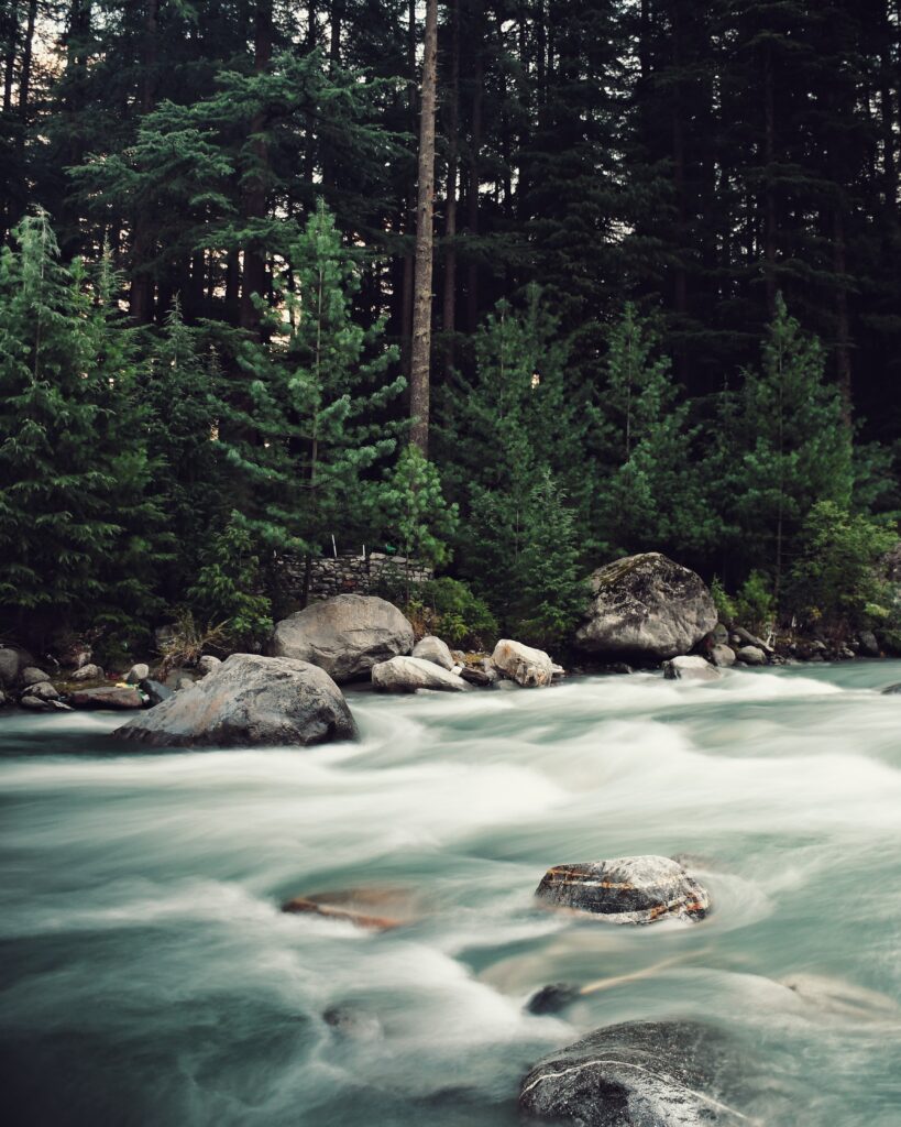 Serene forest wallpaper with gentle river over smooth stones and lush green spruce trees background