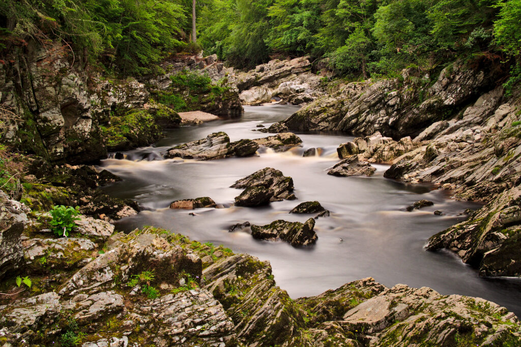 Tranquil stream flowing over smooth stones in lush green forest peaceful natural wallpaper background