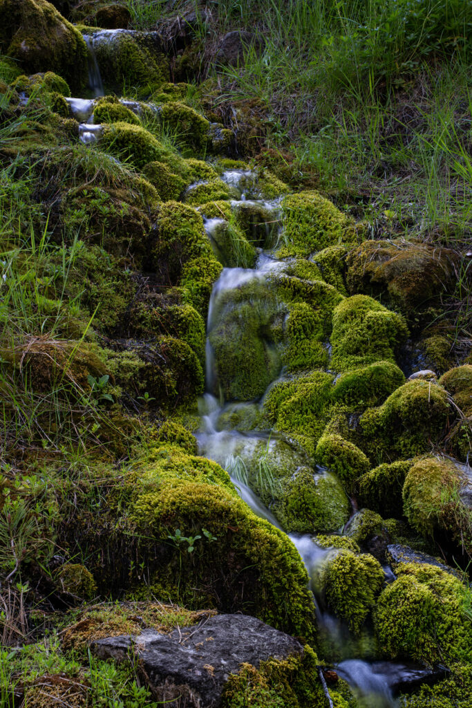 Tranquil stream flowing over mossy rocks surrounded by lush green grass nature wallpaper background