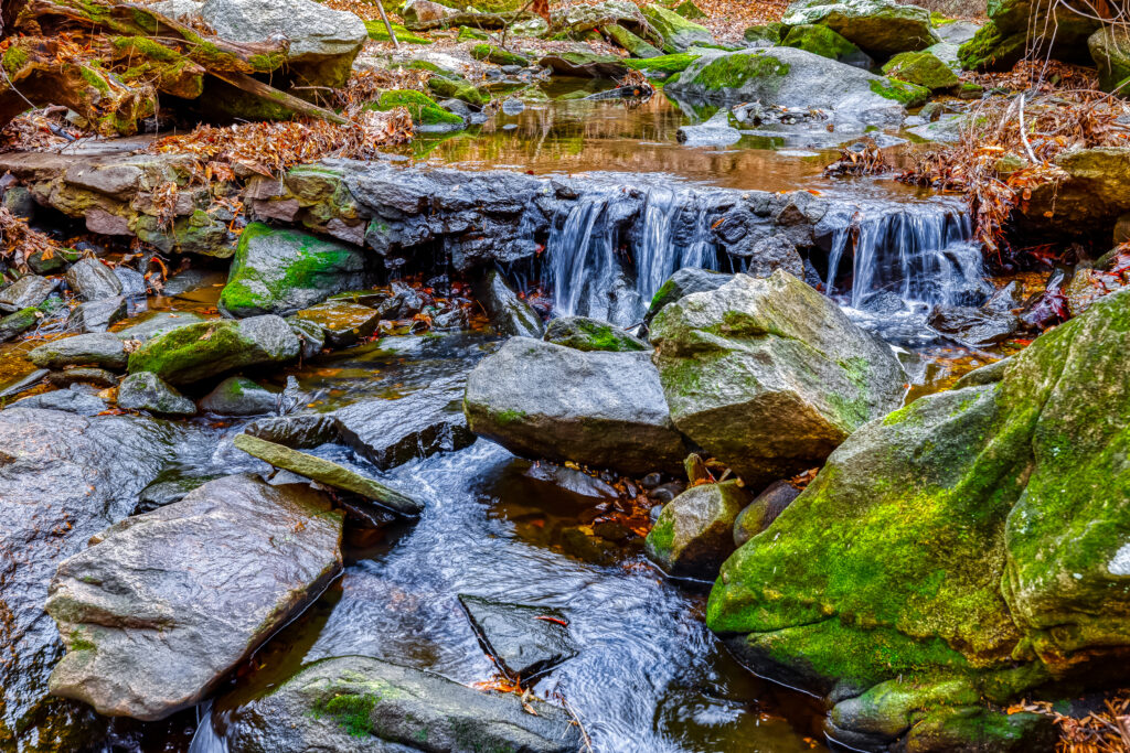 Tranquil forest stream flowing over mossy stones surrounded by lush green foliage wallpaper background