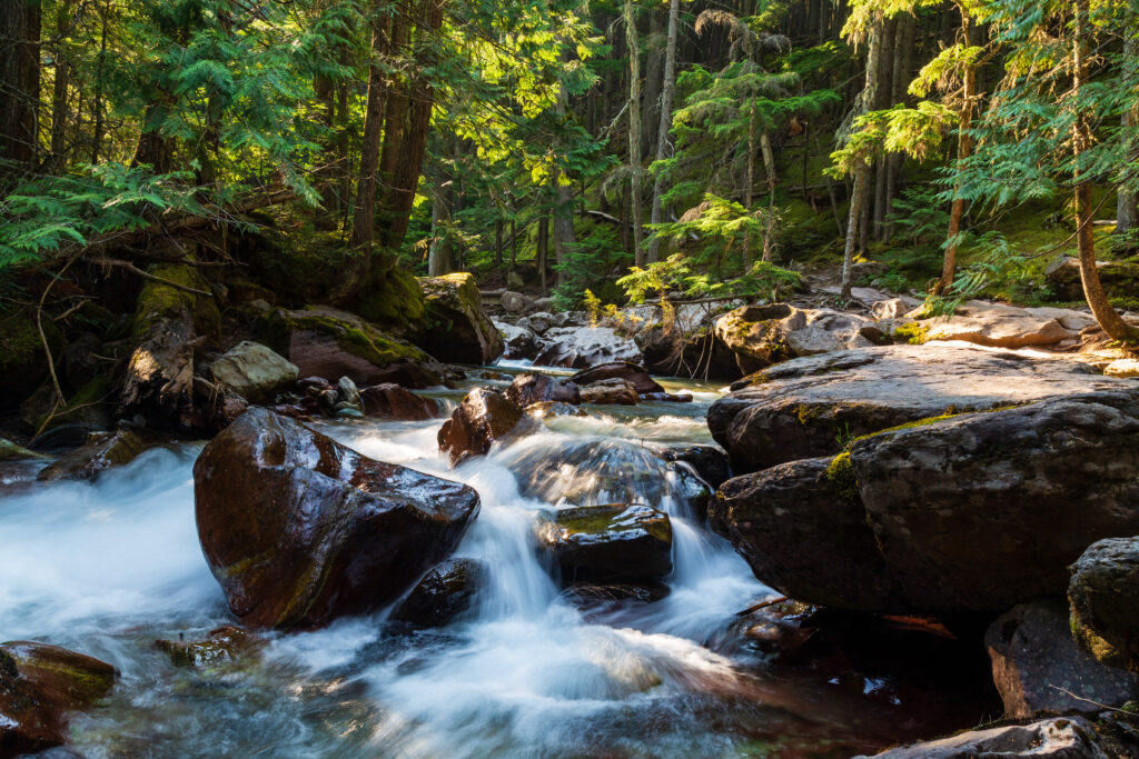 Serene forest stream flowing over smooth stones with dappled sunlight and tall trees wallpaper