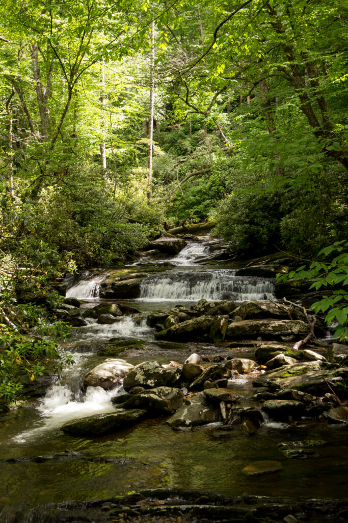 Tranquil forest stream flowing over smooth stones with sunlight through lush green trees wallpaper