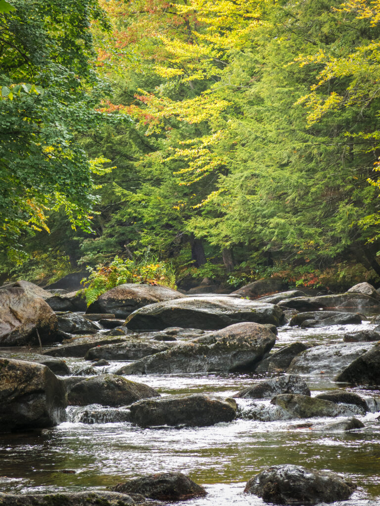 Tranquil forest stream with clear water flowing around smooth stones and autumn trees wallpaper