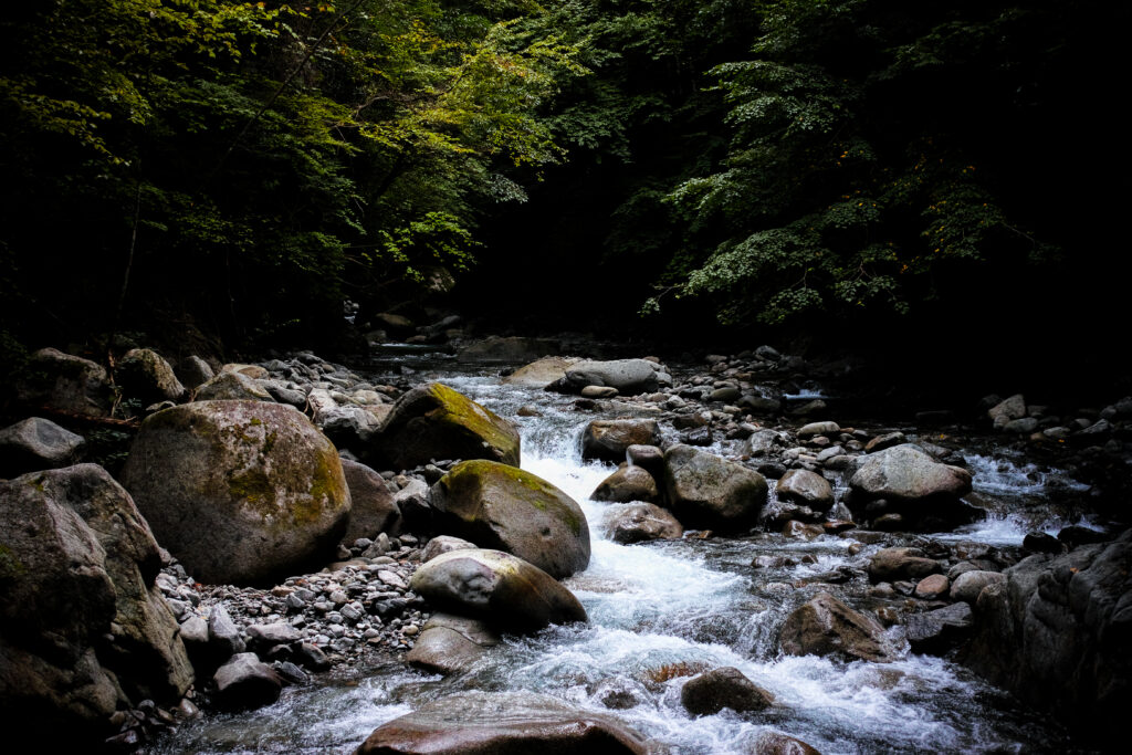 Tranquil forest stream over smooth stones with lush green trees and natural light wallpaper background