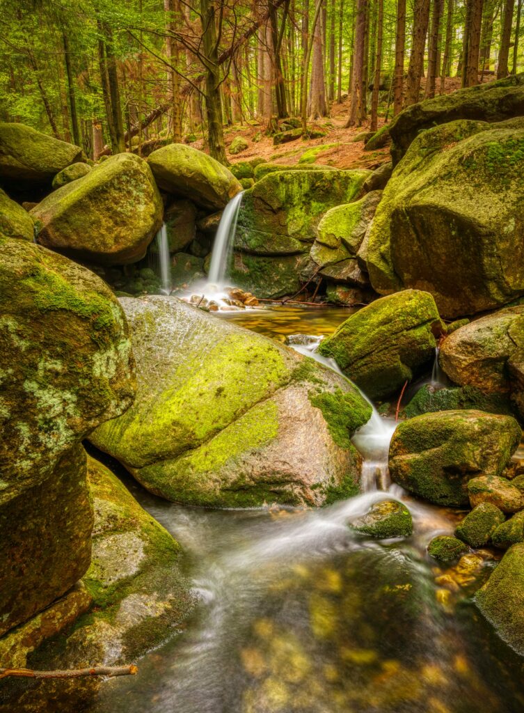 Serene forest with mossy stones and gentle stream under sunlight in lush green woodland background Wallpaper