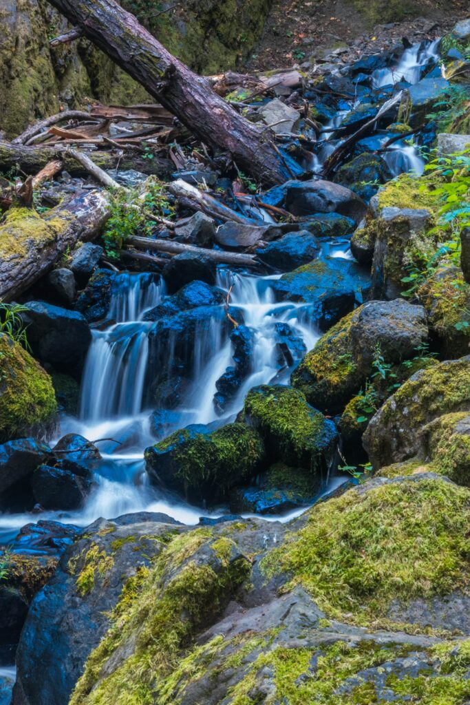 Serene waterfall flowing over mossy stones and fallen log in lush green forest stream wallpaper