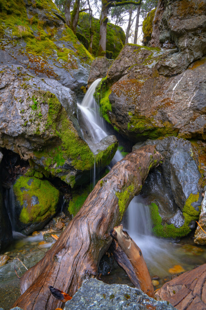 Tranquil forest waterfall over mossy stones and fallen tree with lush green natural light background Wallpaper