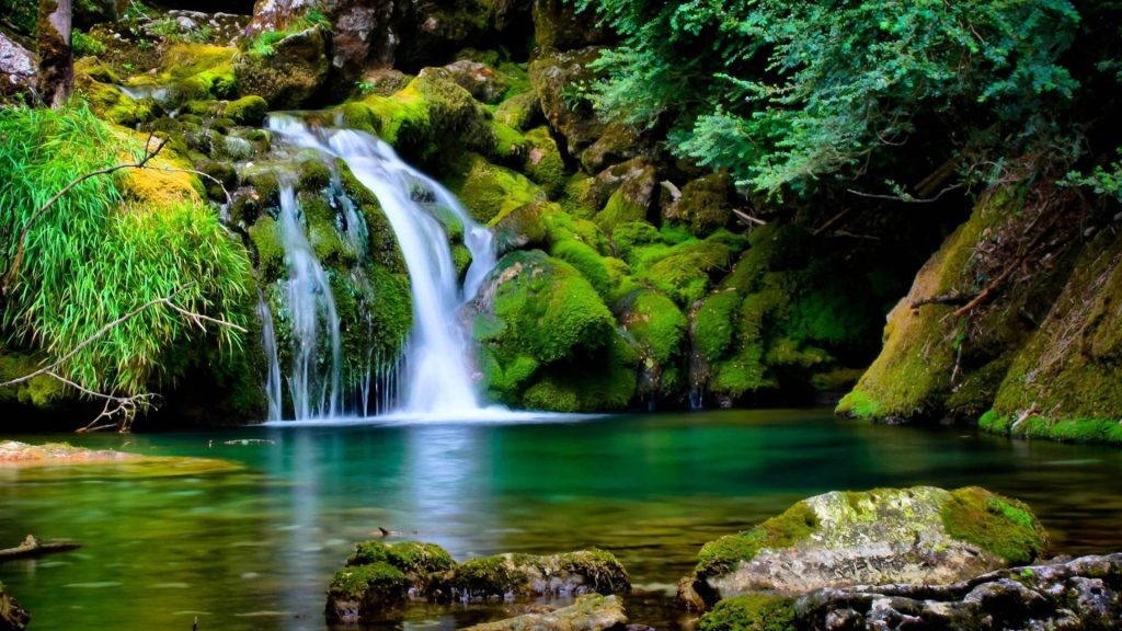 Lush forest waterfall with vibrant moss and turquoise pool serene nature wallpaper background