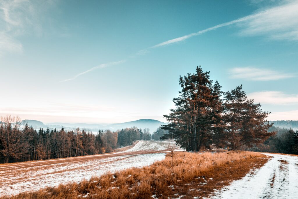 Winding road through frosty grass and bare trees under soft blue sky autumn winter landscape wallpaper
