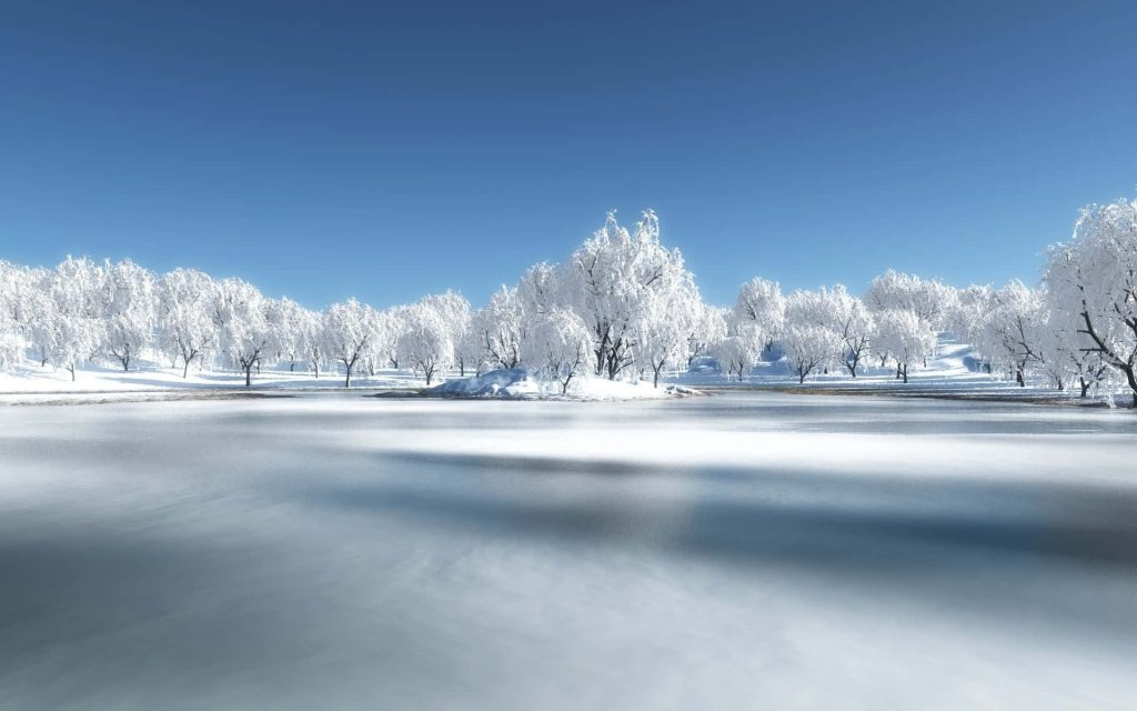 Frozen lake reflecting clear blue sky surrounded by frost-covered trees serene winter wallpaper